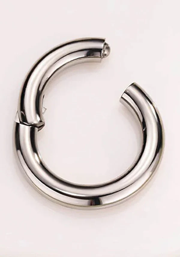 10g [Titanium] Hinged | SEGMENT RING - Image 2