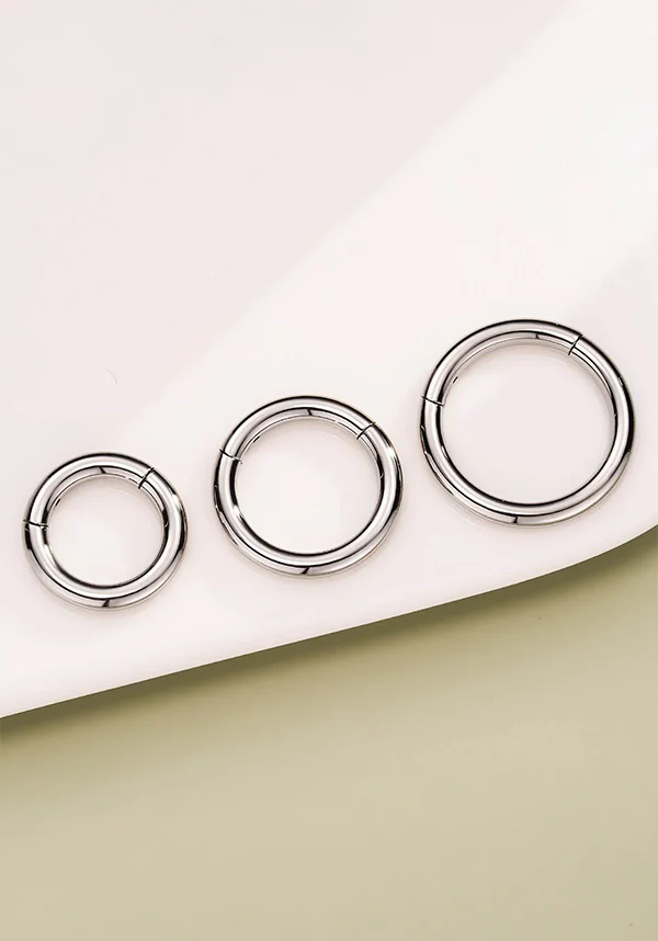 12g [Titanium] Hinged | SEGMENT RING - Image 3