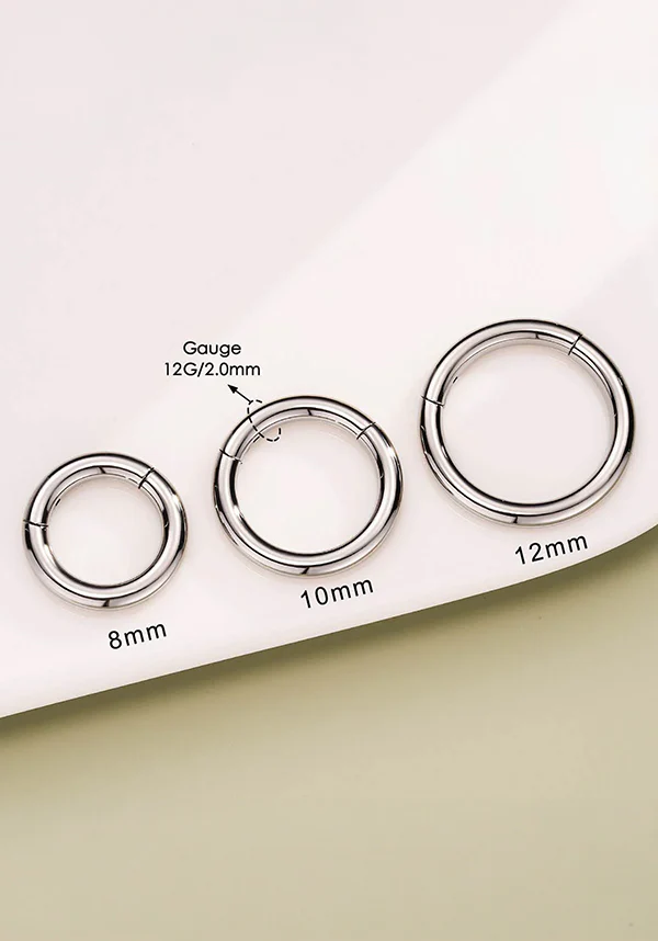 12g [Titanium] Hinged | SEGMENT RING - Image 4