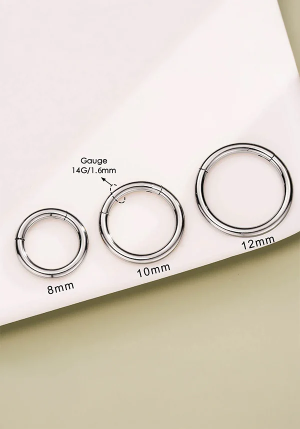 14g [Titanium] Hinged | SEGMENT RING - Image 3