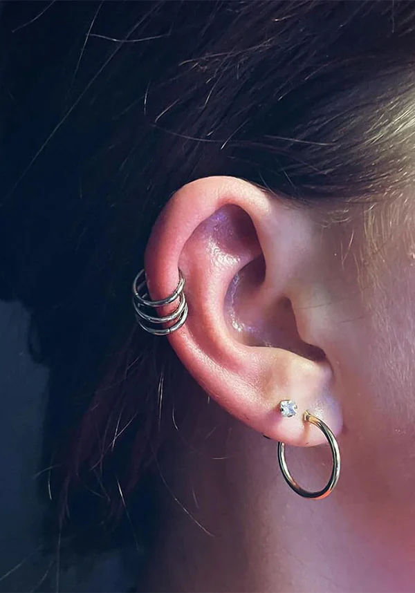 16g [Titanium] Hinged | SEGMENT RING - Image 2