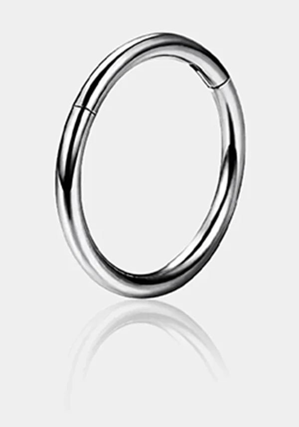 18g [Titanium] Hinged | SEGMENT RING