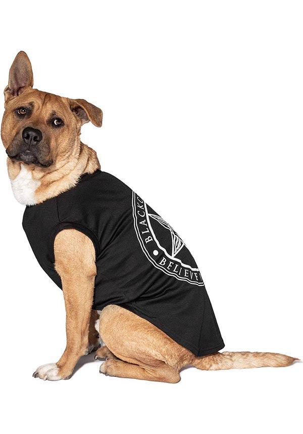 Believe In Yourself | PET TEE** - Image 3