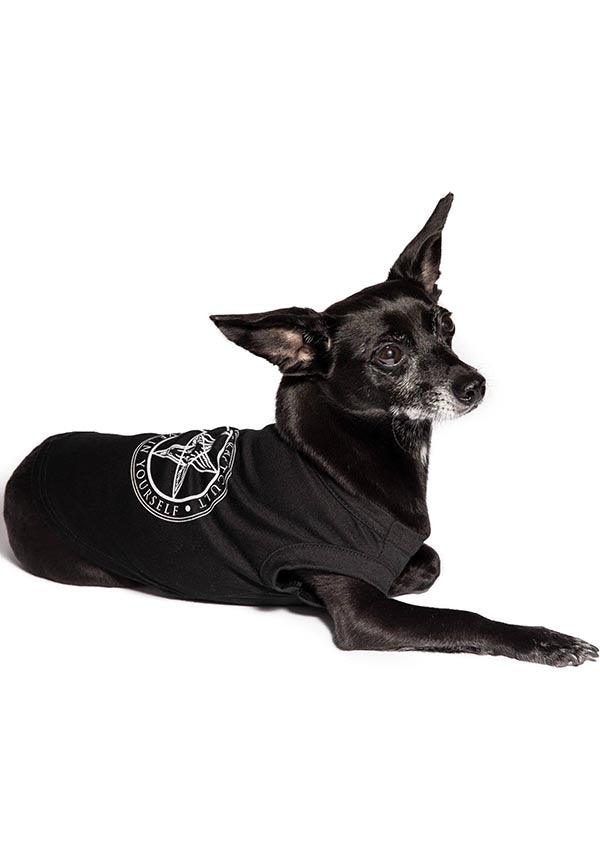 Believe In Yourself | PET TEE** - Image 4