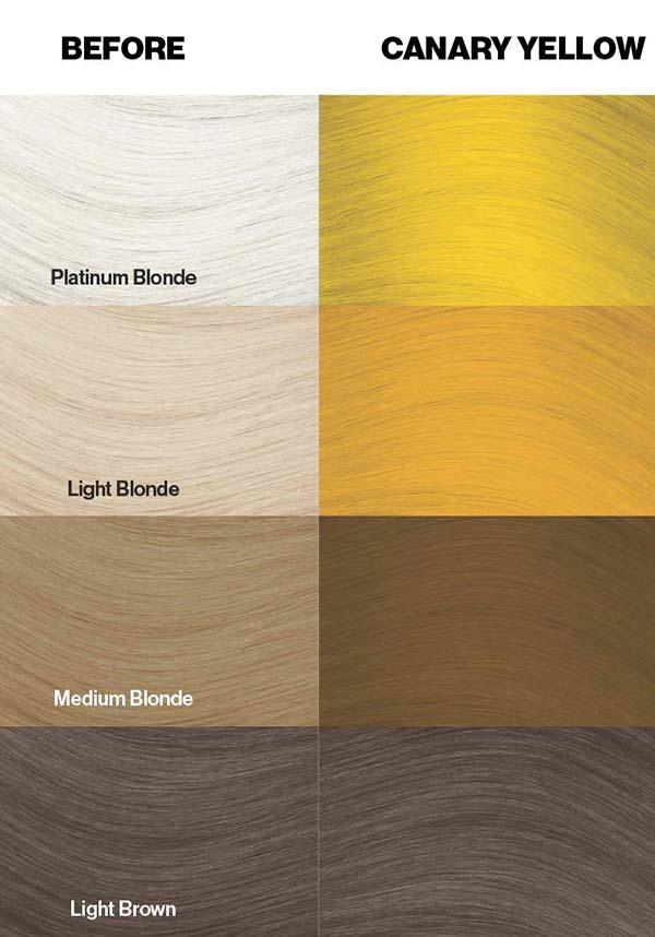 Canary Yellow | HAIR COLOUR - Image 7