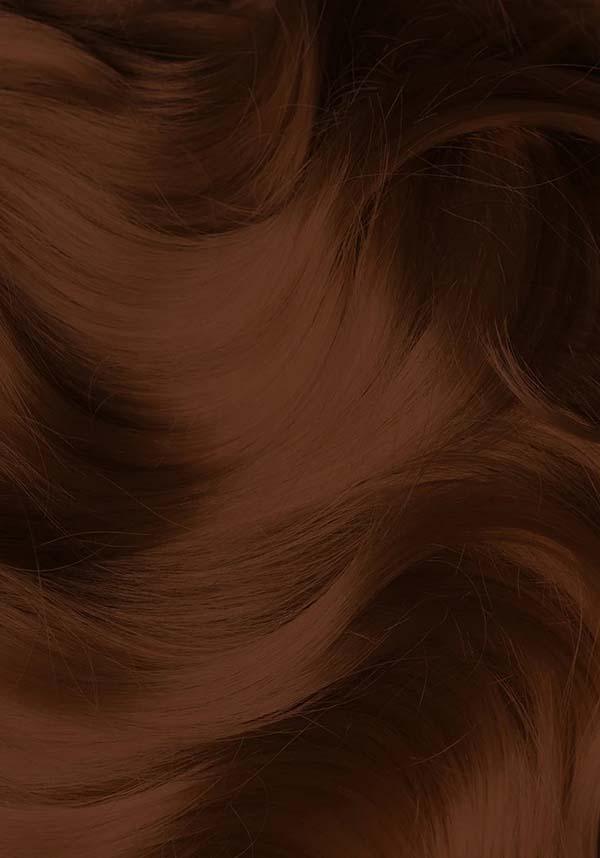 Cattail | CLASSIC COLOUR - Image 3