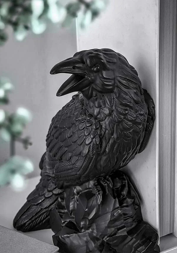 Corvus | BOOKENDS - Image 5