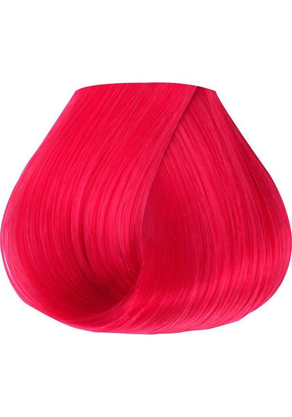 Crimson | HAIR COLOUR - Image 3