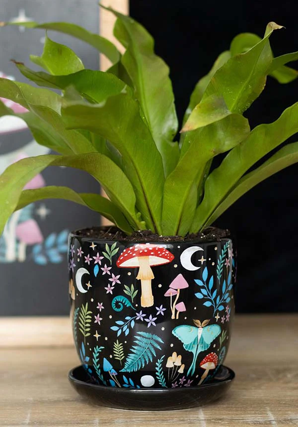 Dark Forest Ceramic | PLANT POT