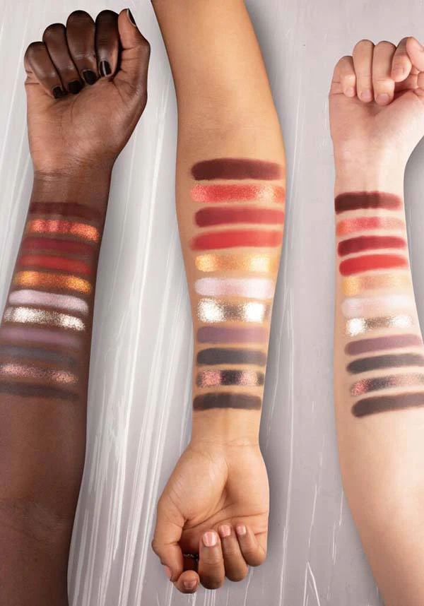 Dexter | PRESSED POWDER PALETTE - Image 2