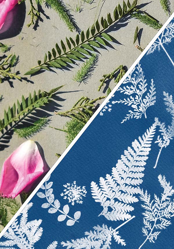 Cyanotype Sun | PHOTOGRAPHY - Image 2