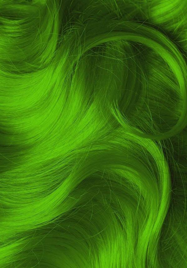 Electric Lizard | CLASSIC COLOUR - Image 6