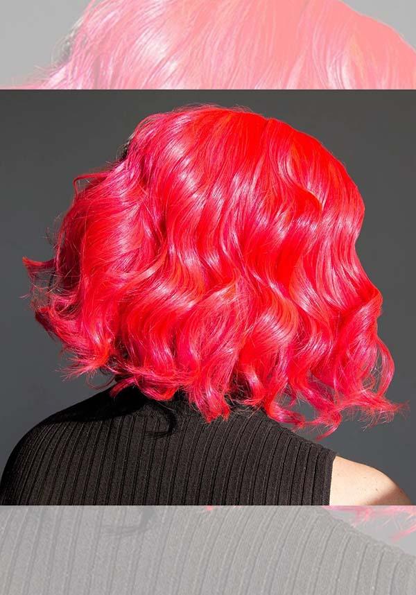 Electric Pink Pussycat | CLASSIC COLOUR - Image 2