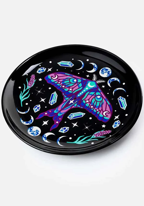 Enchanted Forest | SAUCER - Image 5