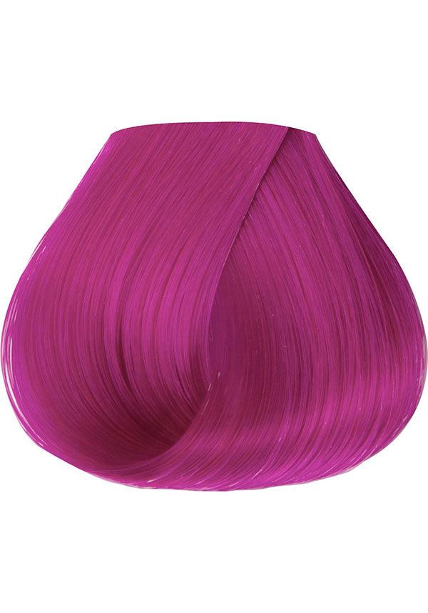 Fiesta Fuchsia | HAIR COLOUR - Image 3
