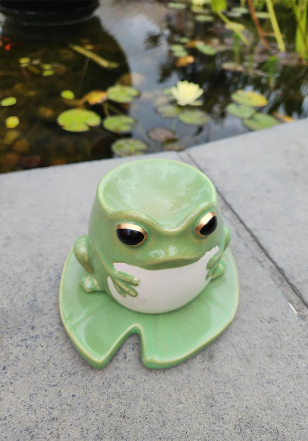 Frog [on Lilypad] Shaped | OIL BURNER - Image 5