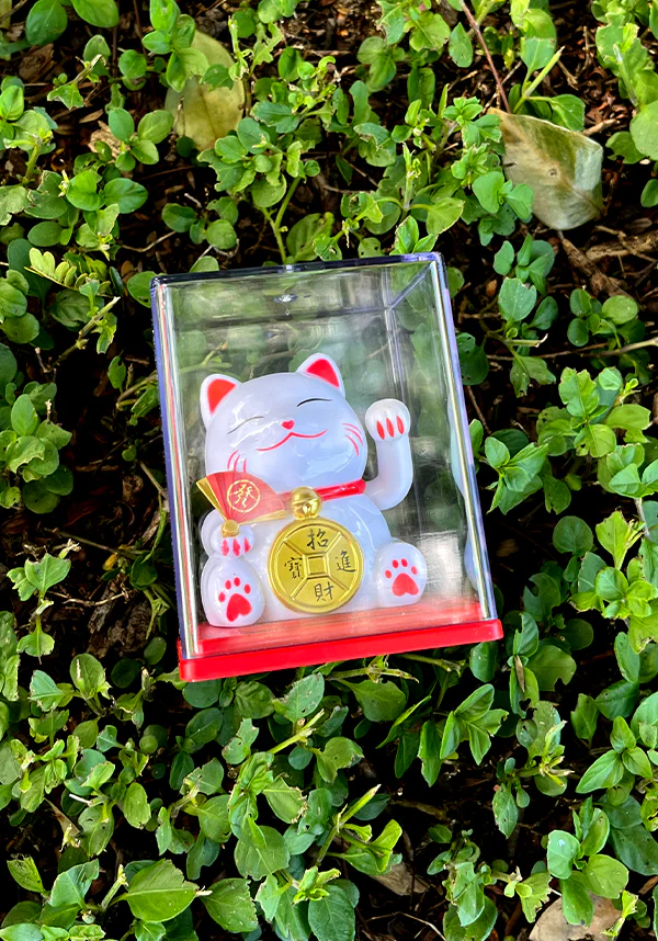 Grooving Lucky Cat | SOLAR DANCER - Image 3
