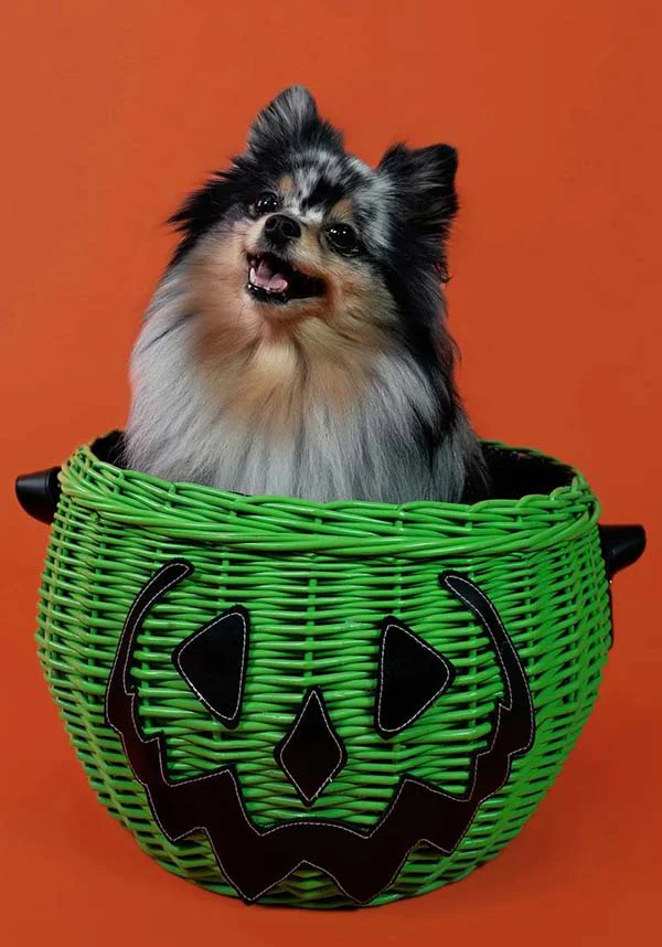 Haunted Hallows [Green] | PICNIC BASKET** - Image 18