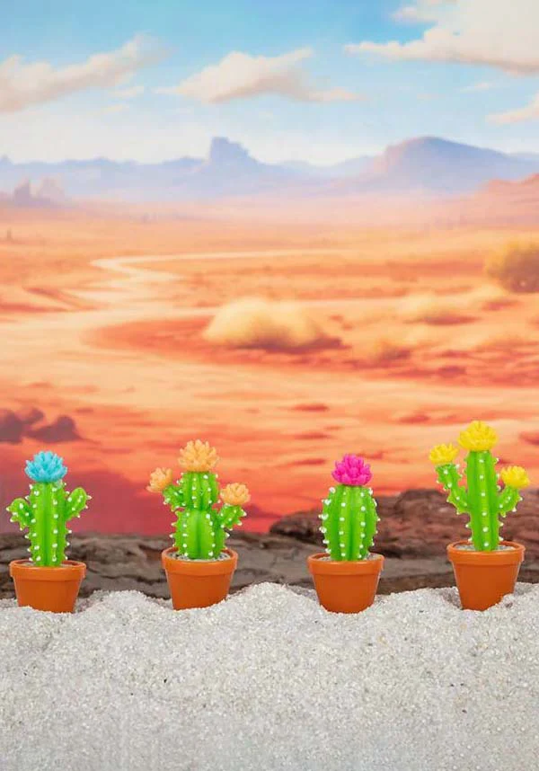 Itty Bitty | CACTUS* - Image 2