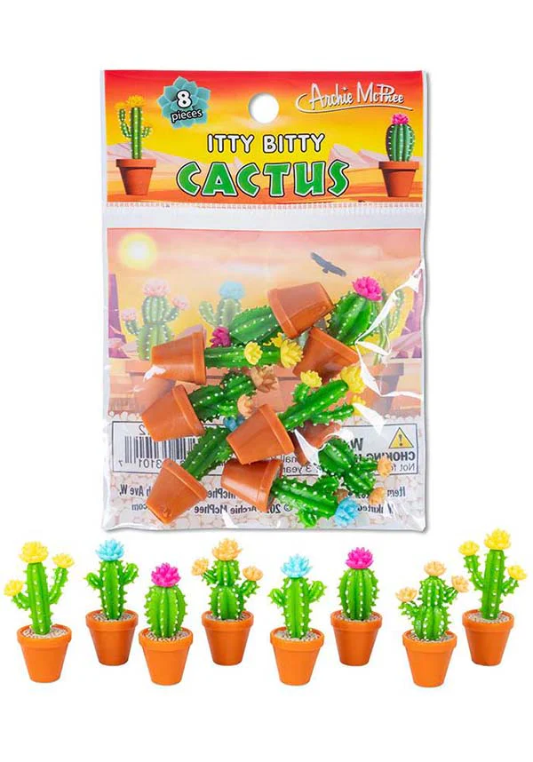 Itty Bitty | CACTUS* - Image 3