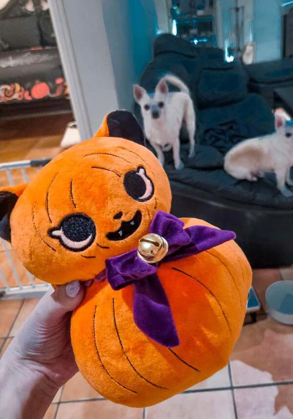 Jack-O-Kitty | PUMPKIN PLUSH* - Image 8