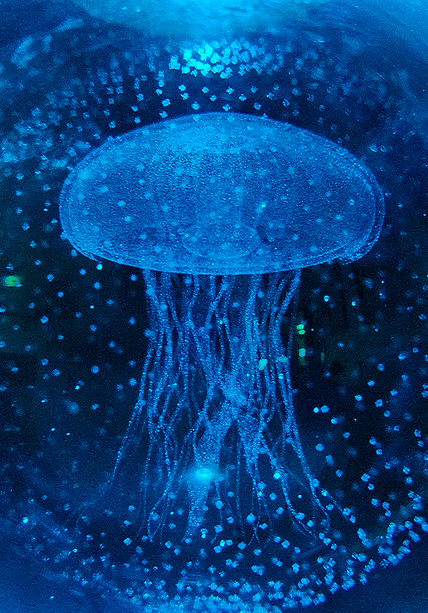 Jellyfish 3D Crystal Ball | LAMP - Image 6