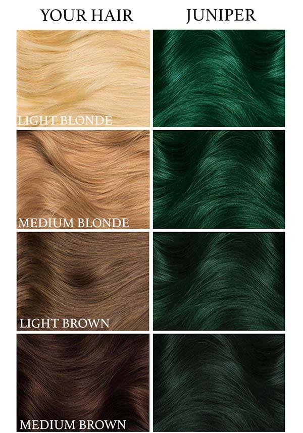 Juniper Green | HAIR DYE [236ml] - Image 4