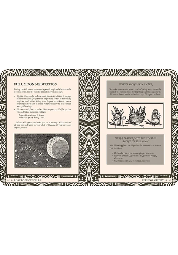 Lost Book of Spells | BOOK - Image 12