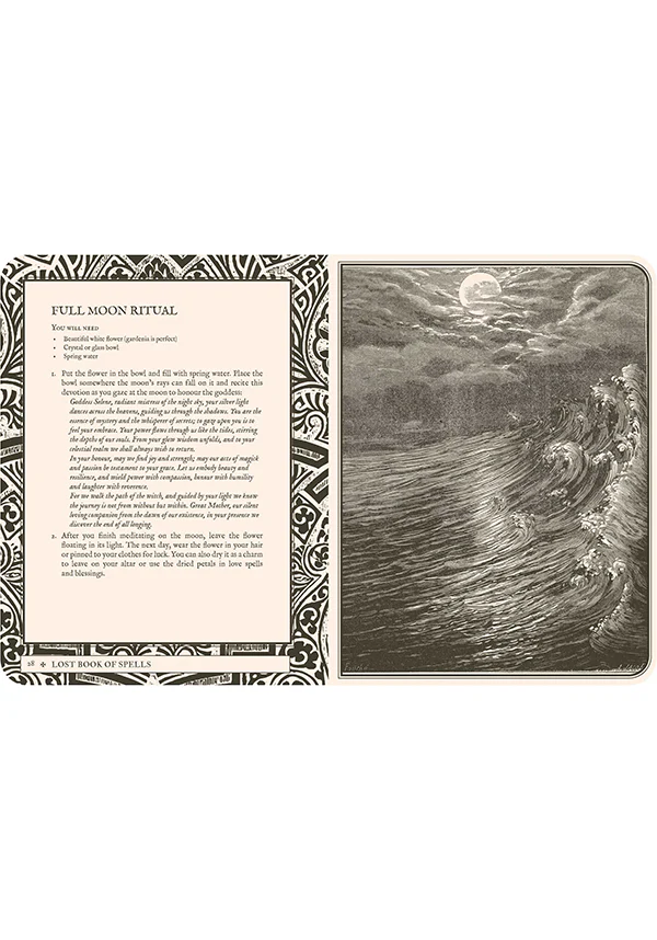 Lost Book of Spells | BOOK - Image 13