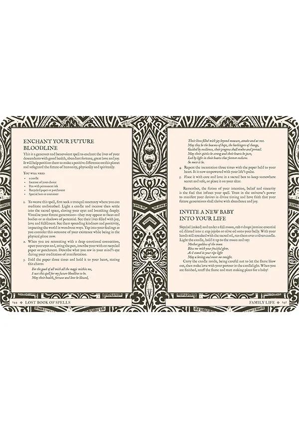 Lost Book of Spells | BOOK - Image 14