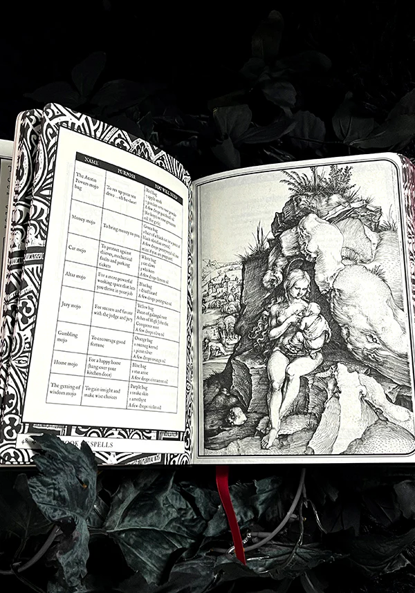 Lost Book of Spells | BOOK - Image 2