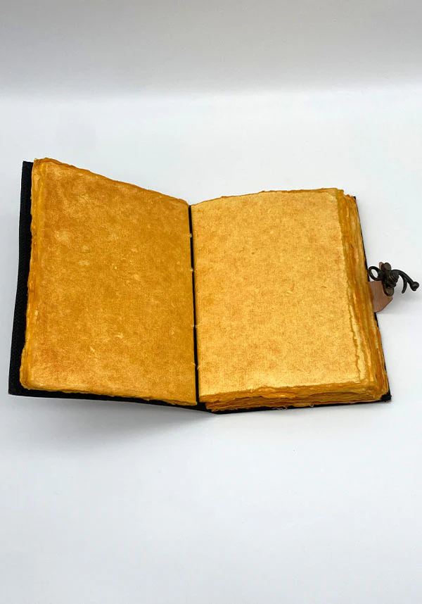 Medusa [Leather] | JOURNAL - Image 5