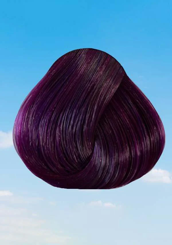Plum | HAIR COLOUR [100ML] - Image 4
