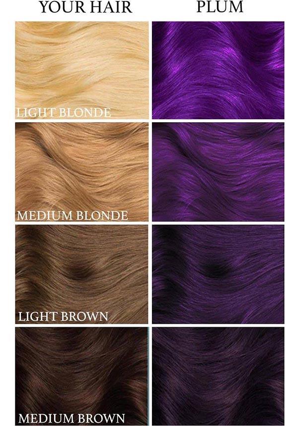 Plum Purple | HAIR DYE [236ml] - Image 4