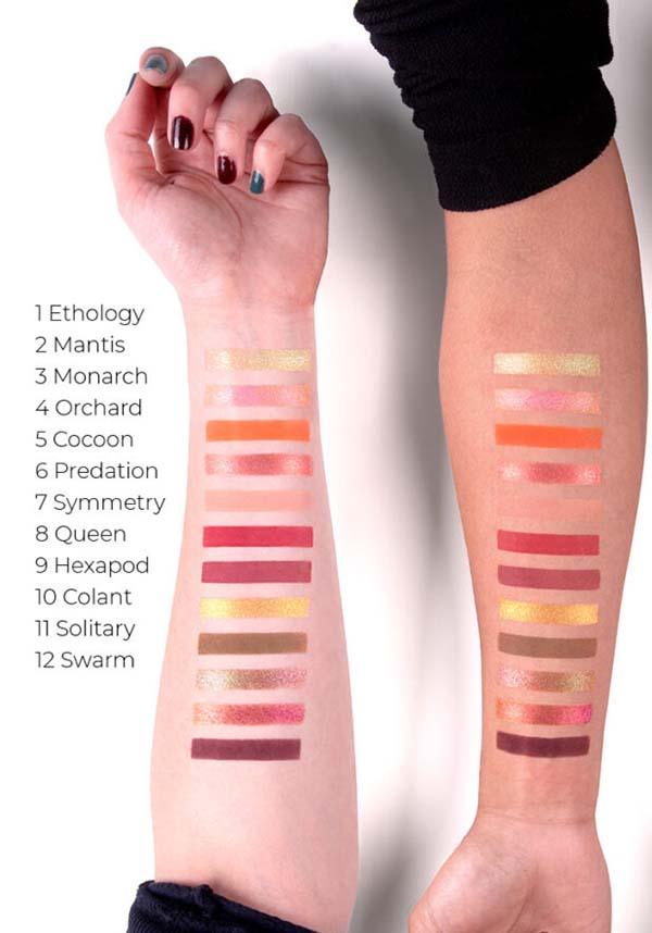 Predation | PRESSED EYESHADOW - Image 2