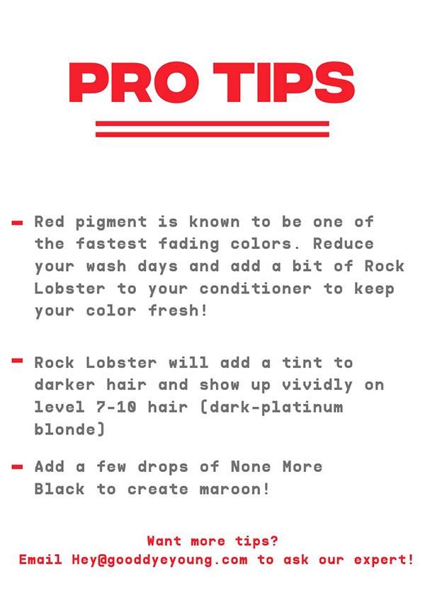 Rock Lobster | HAIR COLOUR - Image 7