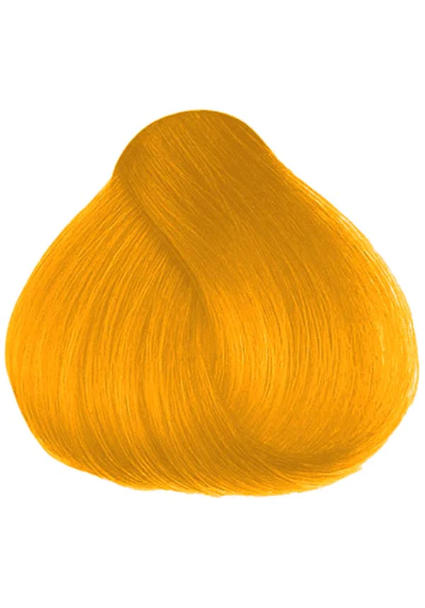 Sammy Sunshine | HAIR COLOUR - Image 3