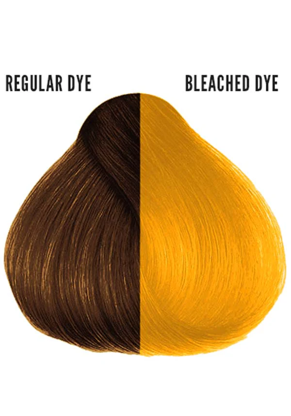 Sammy Sunshine | HAIR COLOUR - Image 4