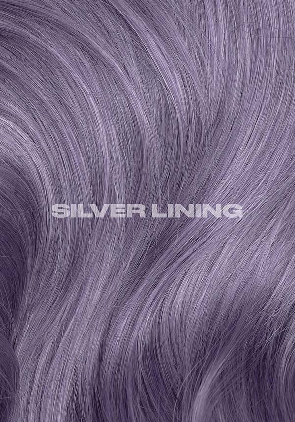 Silver Lining | HAIR DYE [118ml] - Image 12