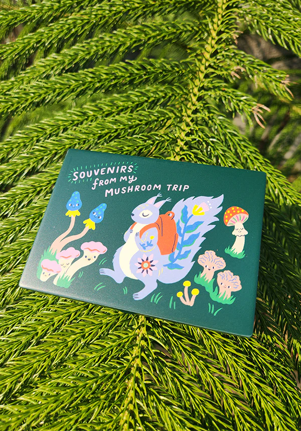 Souvenirs From My Mushroom Trip | POCKET BOX - Image 2