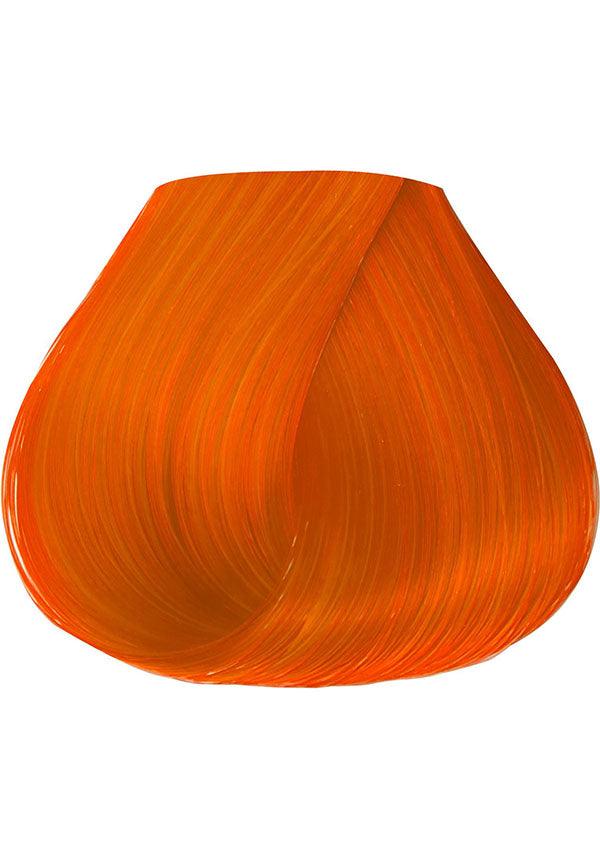 Sunrise Orange | HAIR COLOUR - Image 3