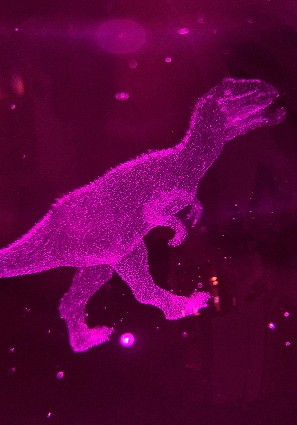 T-Rex 3D Crystal Ball | LAMP - Image 6
