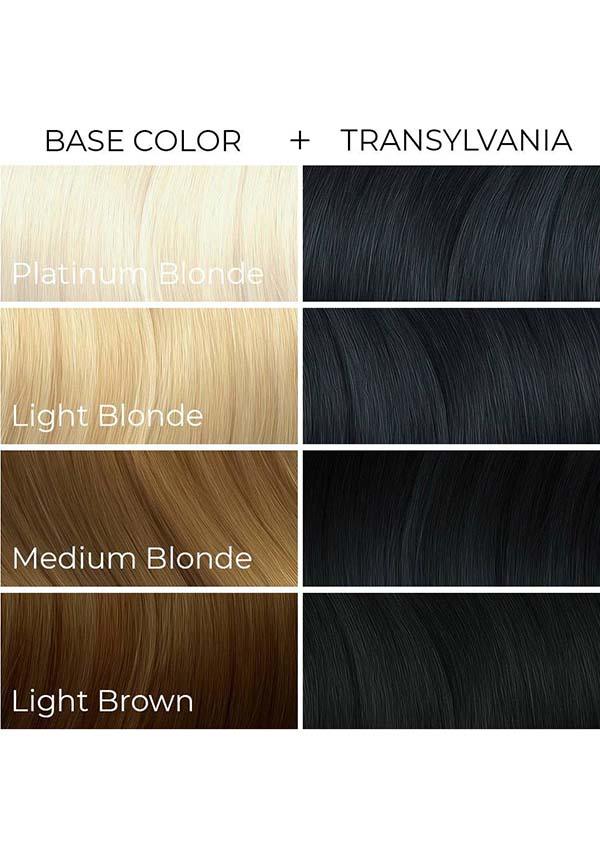 Transylvania | HAIR COLOUR [236ml] - Image 3