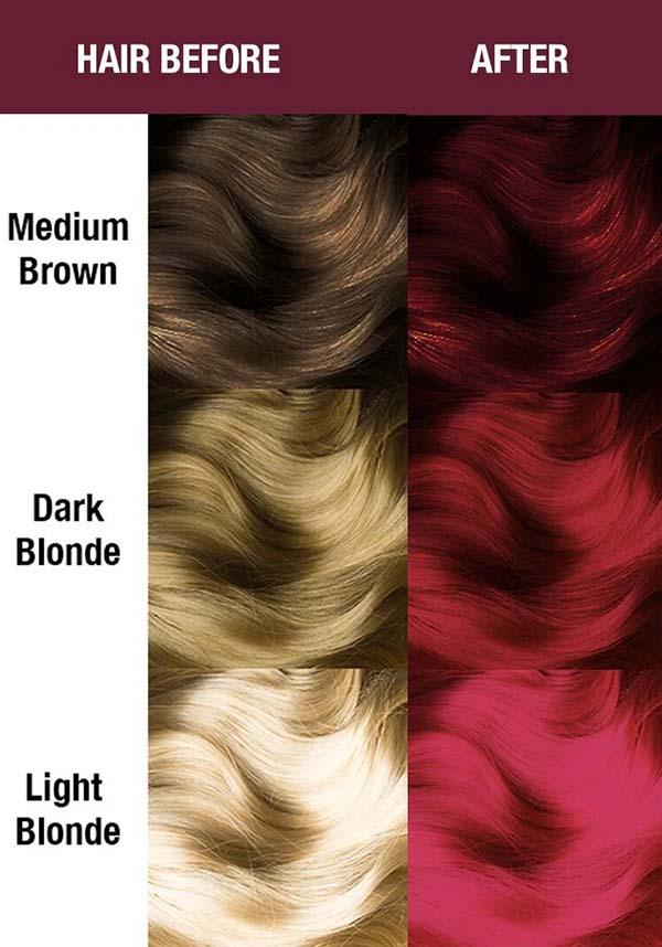 Vampire Red | AMPLIFIED COLOUR - Image 4