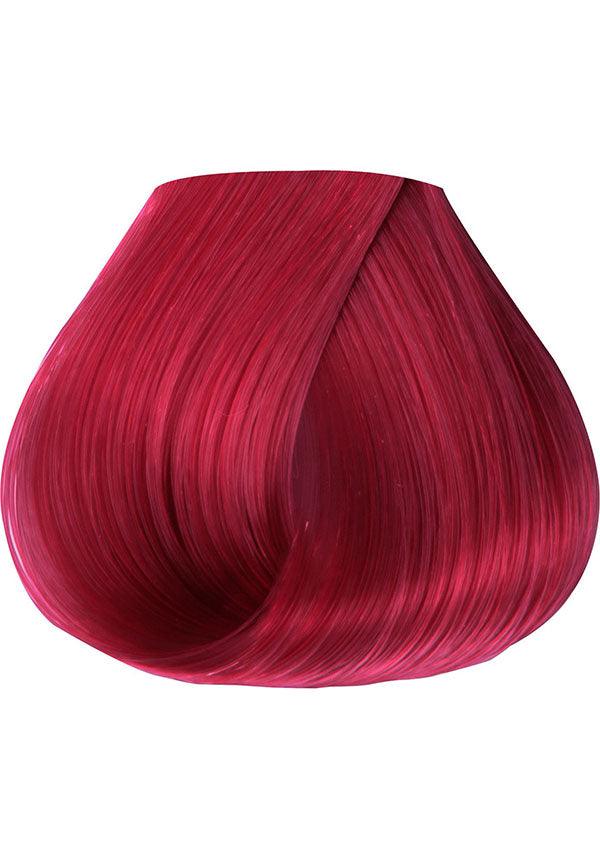 Wild Cherry | HAIR COLOUR - Image 3