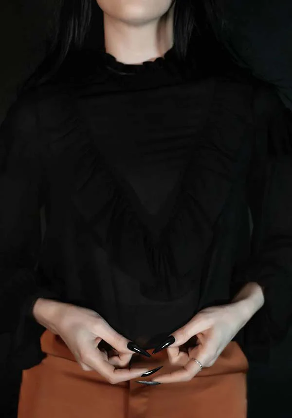 Zebulon | TOP - Image 21